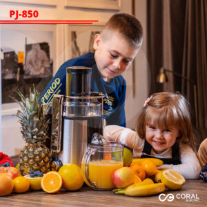 Sokovnik od INOX-a
