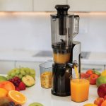 Sokovnik za hladno ceđenje Slow juicer - SJ-350